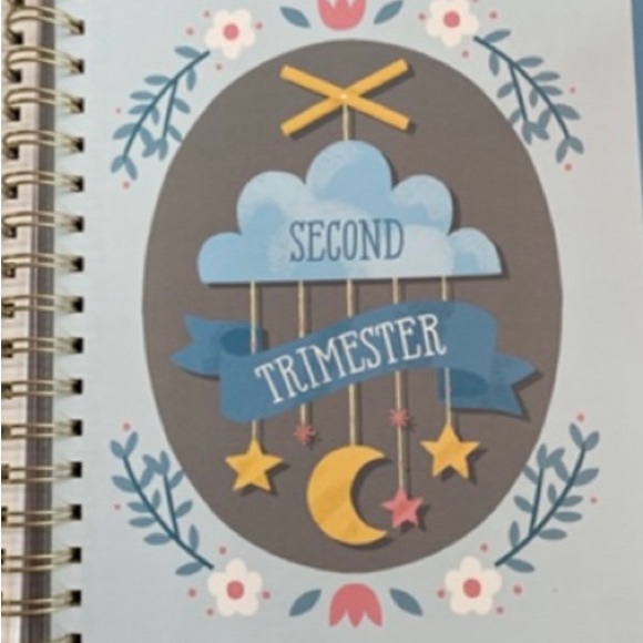 Bump for Joy Baby Boy Pregnancy Memory Keepsake Journal Book - Picture 9 of 13